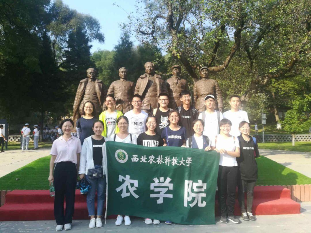 四川都有什么好吃的啊-权威问答网站