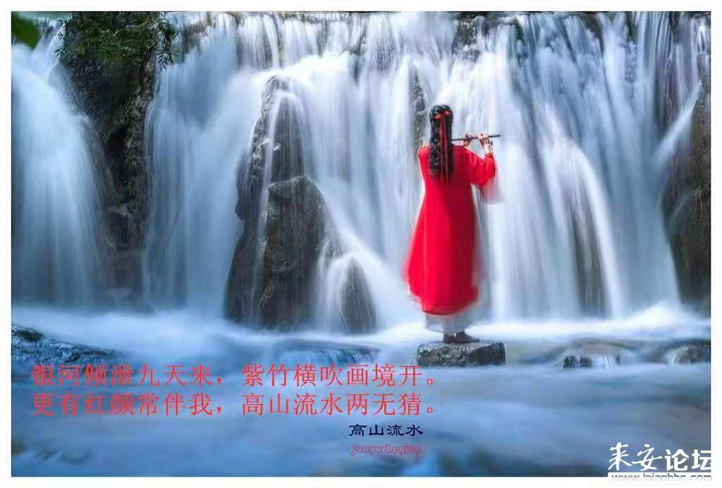 动物帮帮忙保卫家园